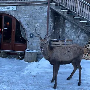 Schody Do Nieba , Zakopane Lengyelország